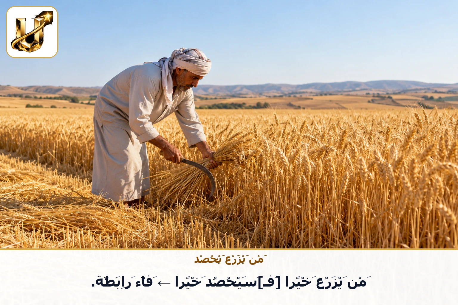من يزرع يحصد: من يزرع خيرا [فـ]سيحصد خيرا ← فاء رابطة.