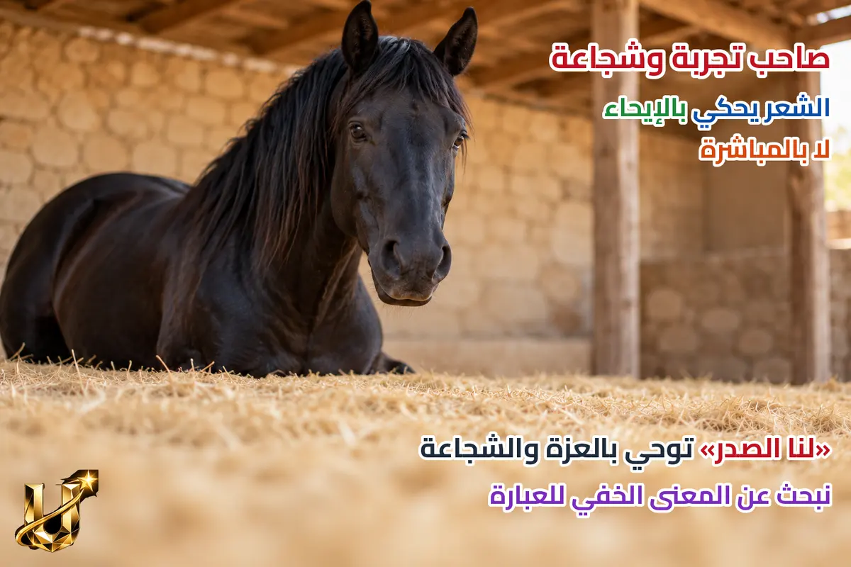 صاحب تجربة وشجاعة.