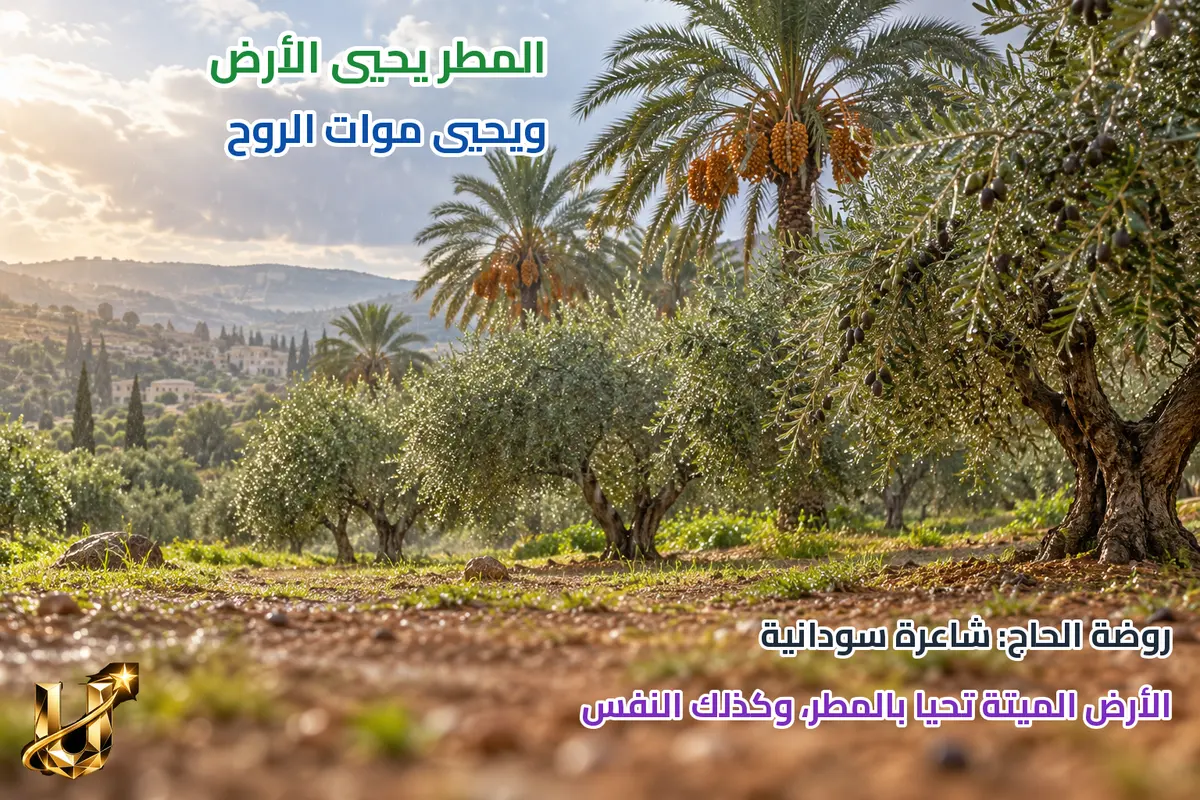المطر يحيي الأرض والروح.