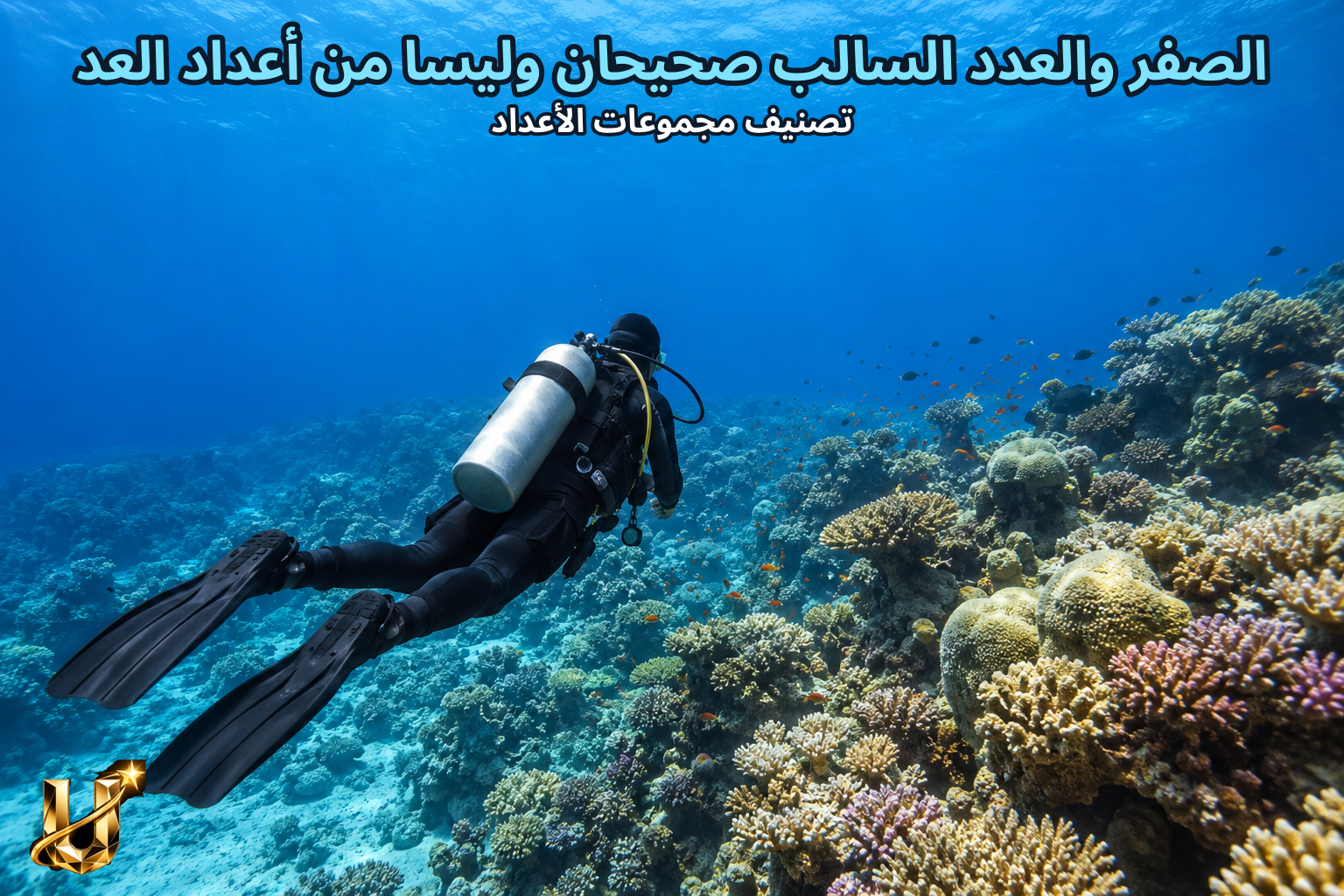 الصفر والعدد السالب صحيحان وليسا من أعداد العد