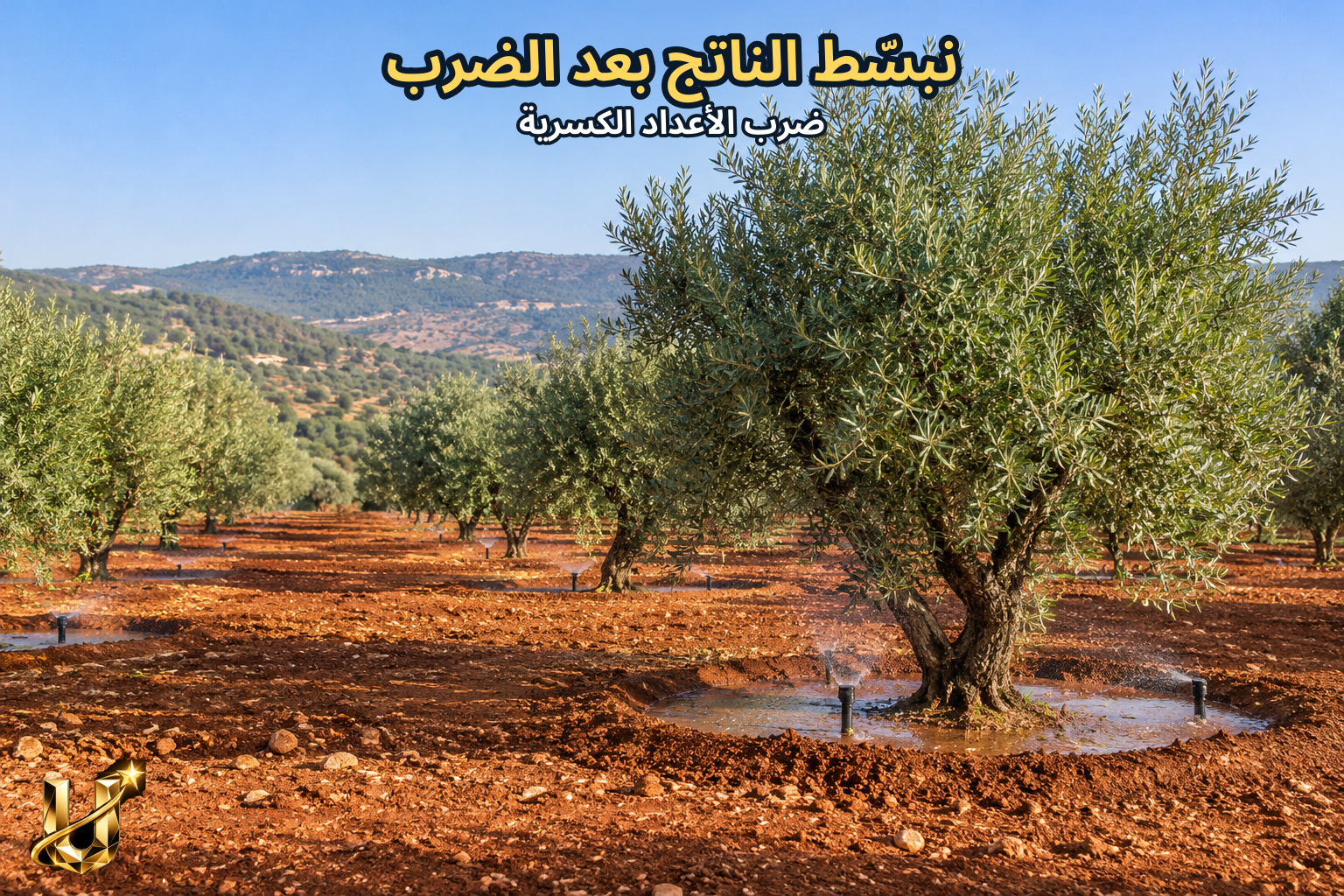 نبسط الناتج بعد الضرب