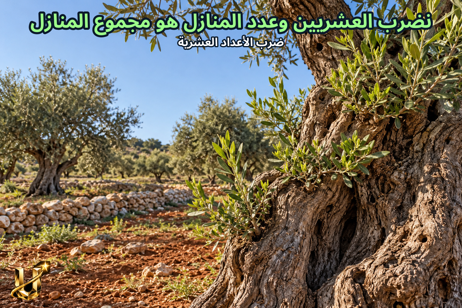 نضرب العشريين وعدد المنازل هو مجموع المنازل