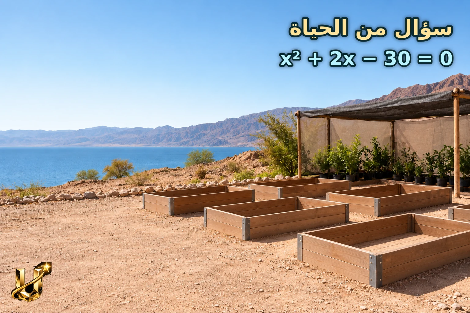 مشتل صغير فيه أحواض مستطيلة فارغة من التراب في العقبة