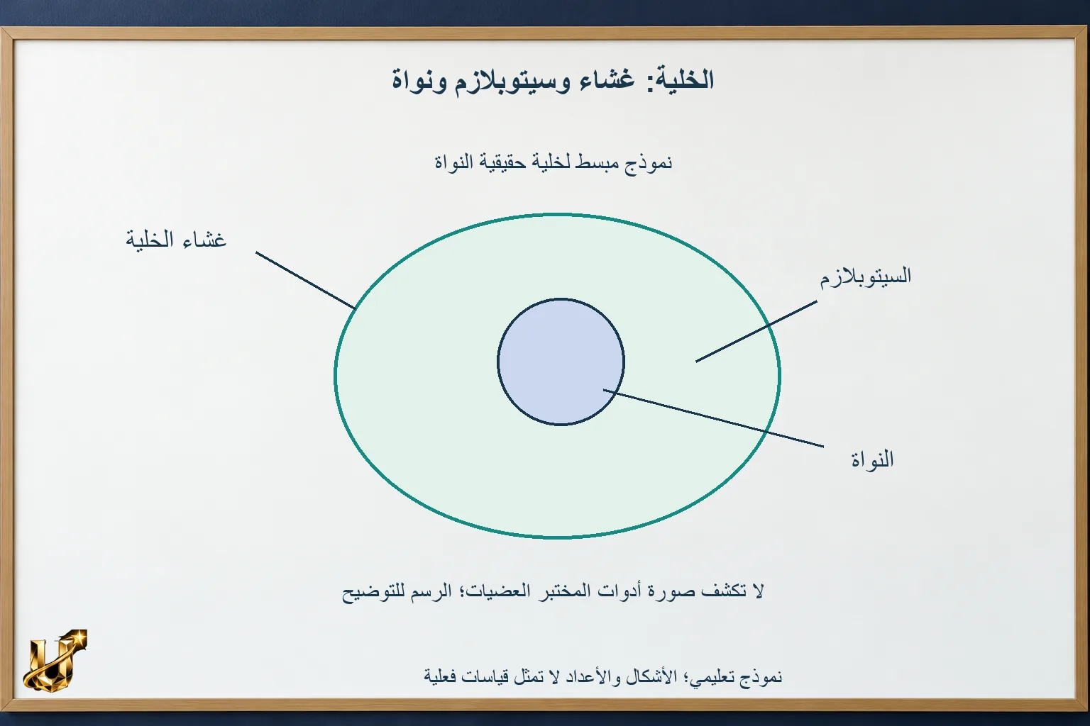 خلايا مختلفة في الجسم نفسه