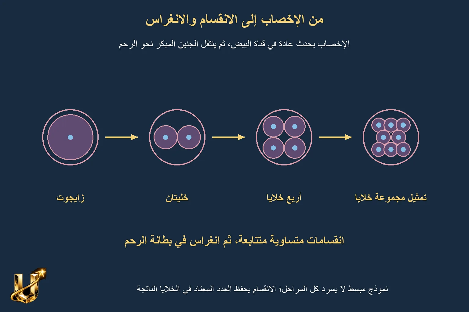 كيف تبدأ حياة جديدة؟