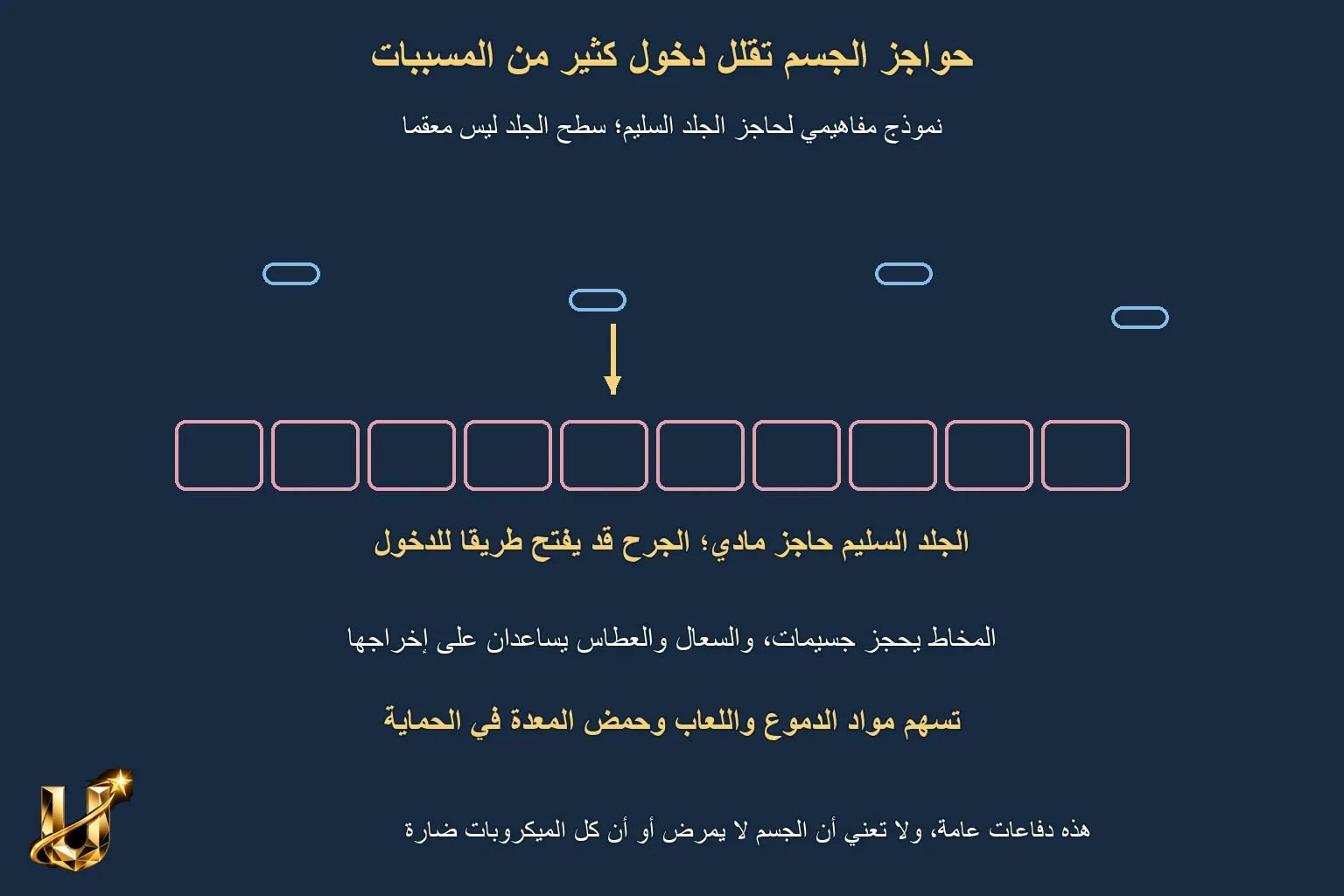 لماذا لا نمرض كل مرة؟