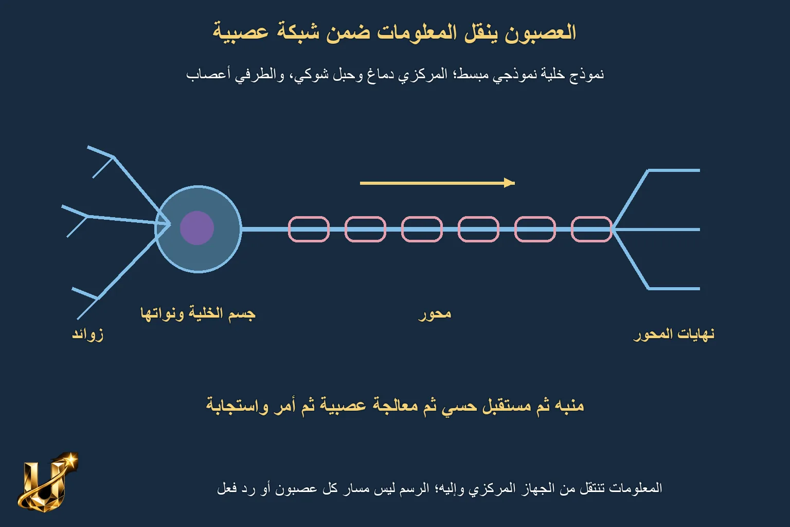 كيف نلتقط كرة؟