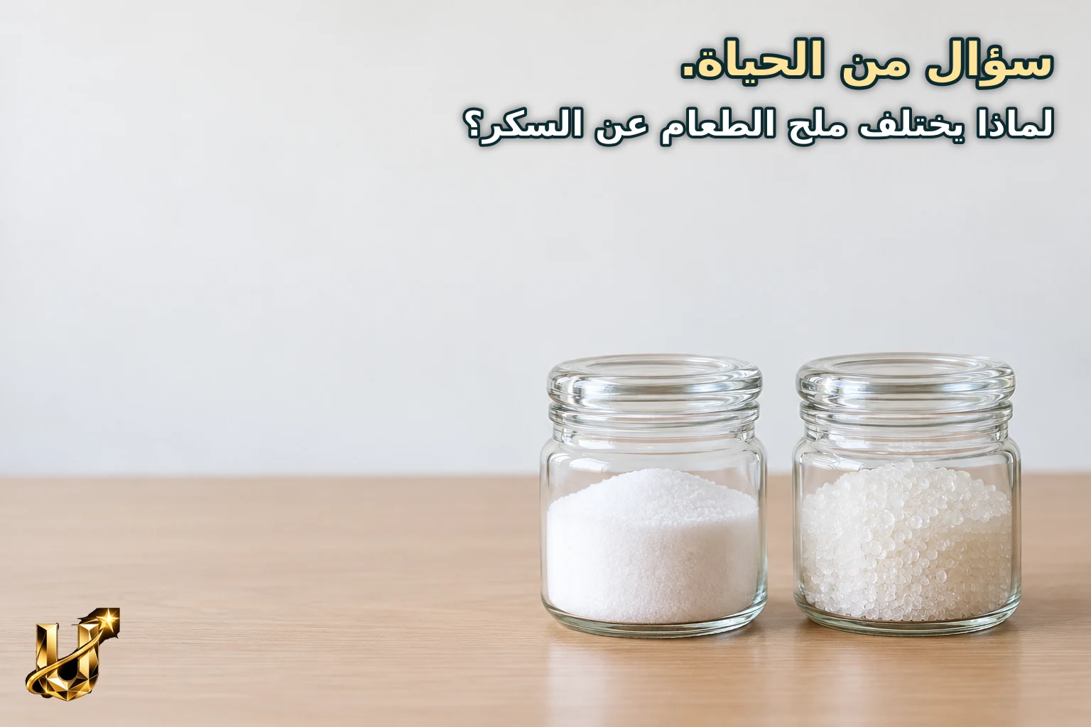 سؤال من الحياة.