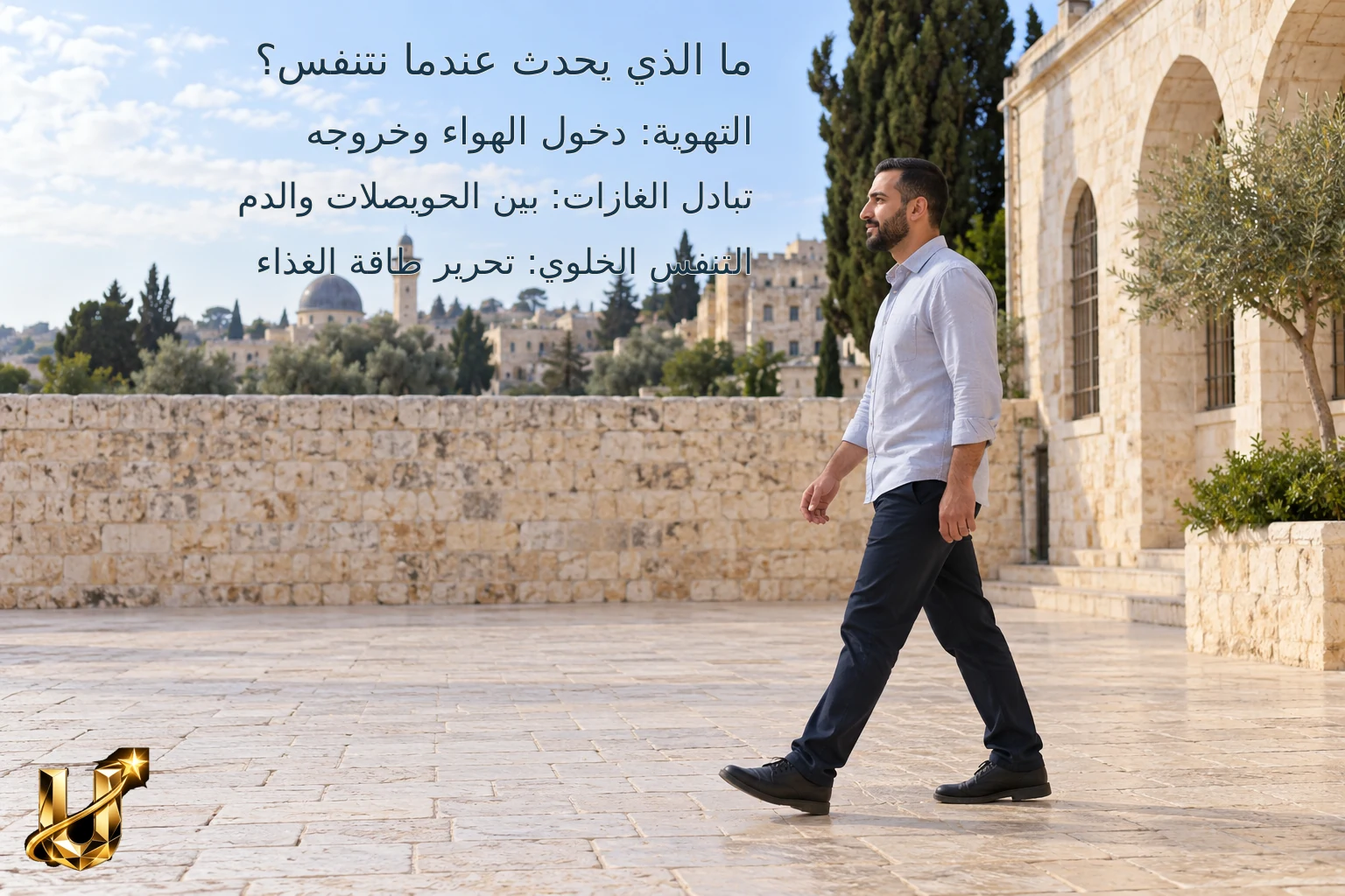 سؤال من الحياة